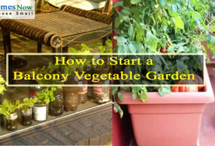 How to Start a Balcony Vegetable Garden